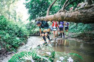 BIB: 
                            <button type="button" onclick="openModal(25464694)" class="btn btn-primary btn-sm float-right btn-popup" data-toggle="modal" data-target=".modal-high-quality">
                        <i class="fas fa-shopping-cart"></i> Add to Cart
                    </button>
                                            <button type="button" onclick="isThisMe(25464694, true)" class="btn btn-success btn-sm float-right btn-popup btn-isme hidden" data-toggle="tooltip" data-placement="bottom" title="นี่คือรูปของคุณใช่ไหม คลิกที่นี่เพื่อเอาเข้าอัลบั้ม">
                        <i class="fas fa-plus"></i> Add to album
                    </button>
                    <button type="button" onclick="isThisMe(25464694, false)" class="btn btn-warning btn-sm float-right btn-popup btn-isnotme hidden">
                        <i class="fas fa-ban"></i> Remove from album
                    </button>